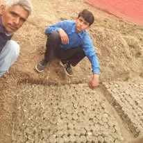 Green Seekers Activity